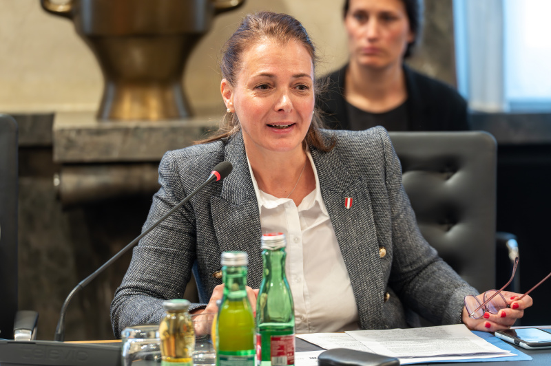 Fragestellung. Nationalratsabgeordnete Katayun Pracher-Hilander (FPÖ)