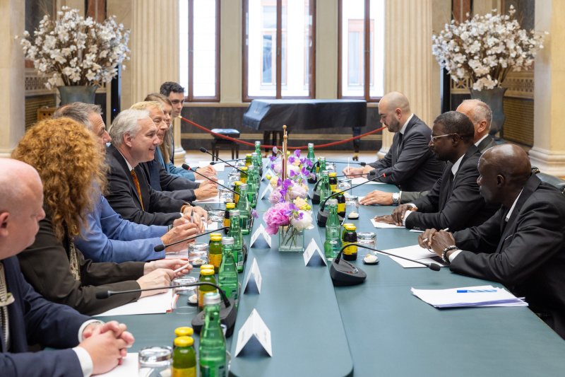 Aussprache. Linke Tischhälfte: Österreichische Delegation unter der Leitung von Nationalratspräsident Walter Rosenkranz (FPÖ) (4. von links). Rechte Tischhälfte: Delegation aus Gambia unter der Leitung des stellvertretenden Vorsitzenden der Nationalversammlung der Republik Gambia Seedy S.K. Njie (2.von rechts)