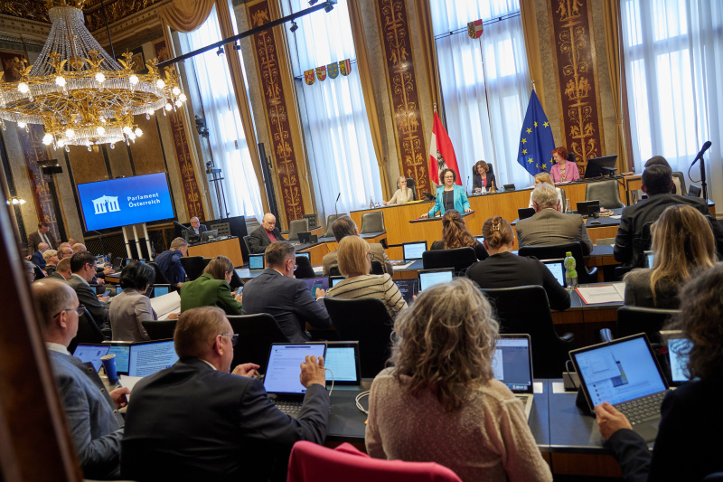 Am Redner:innenpult: Bundesrätin Christine Schwarz-Fuchs (ÖVP)