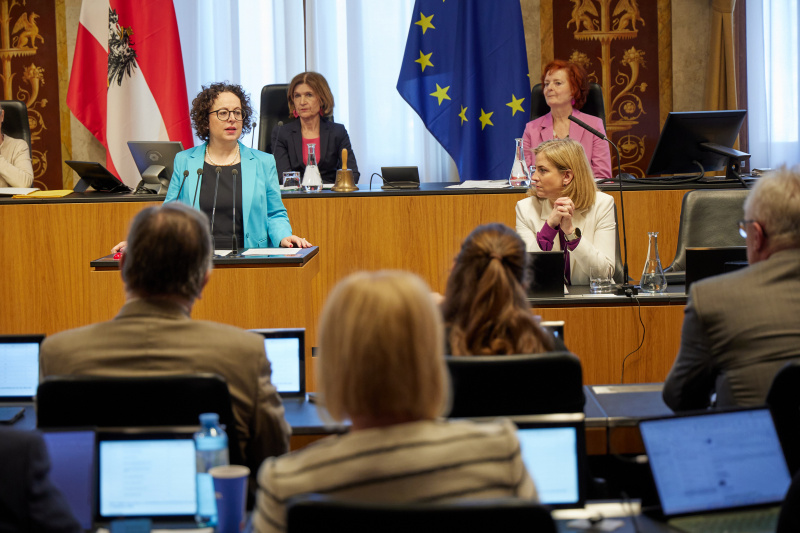 Am Redner:innenpult: Bundesrätin Christine Schwarz-Fuchs (ÖVP)