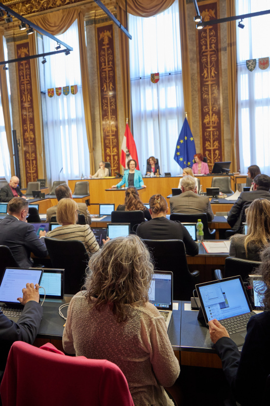 Am Redner:innenpult: Bundesrätin Christine Schwarz-Fuchs (ÖVP)