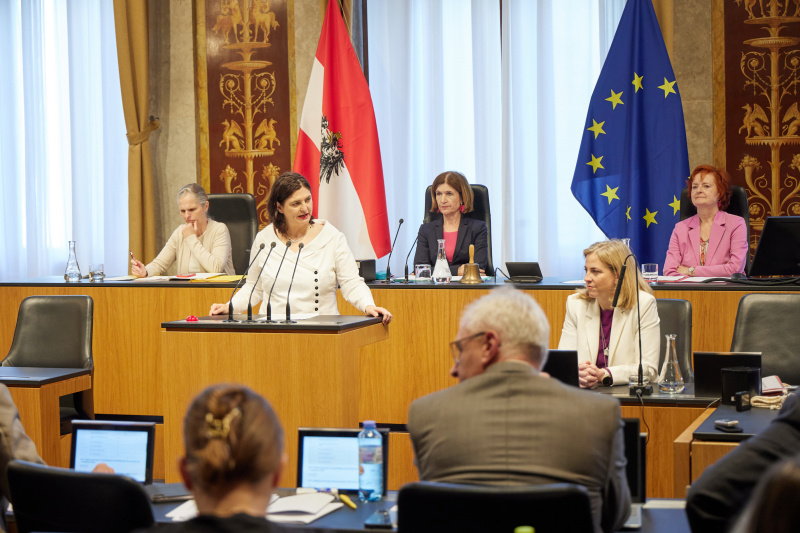 Am Redner:innenpult: Bundesrätin Manuela-Anna Sumah-Vospernik (NEOS)