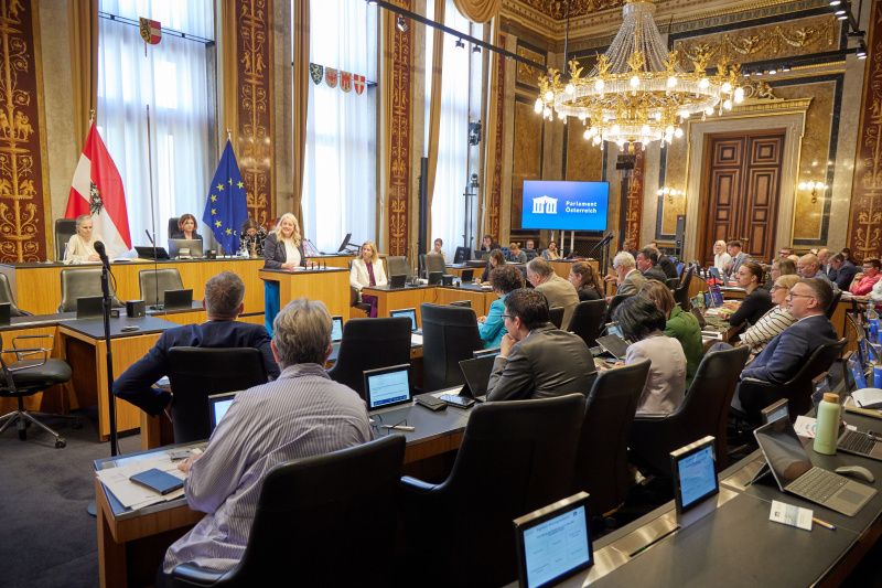 Am Redner:innenpult: Bundesrätin Claudia Arpa (SPÖ)