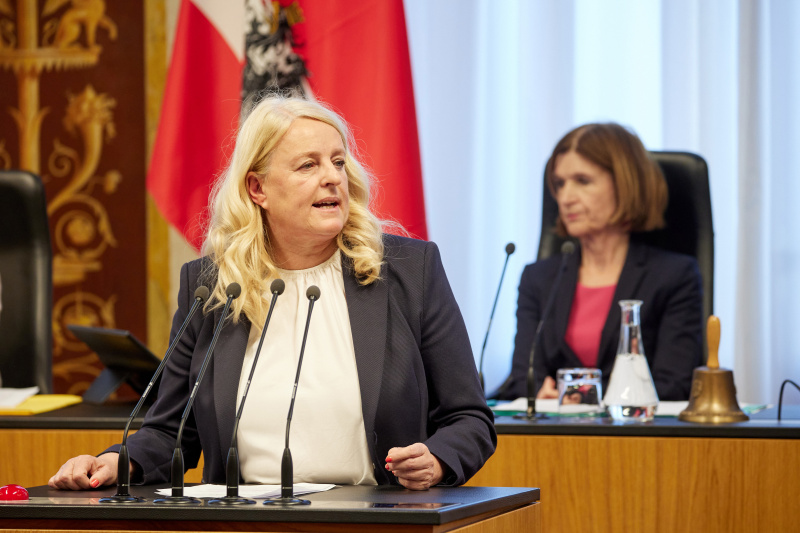 Am Redner:innenpult: Bundesrätin Claudia Arpa (SPÖ)