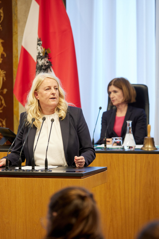 Am Redner:innenpult: Bundesrätin Claudia Arpa (SPÖ)