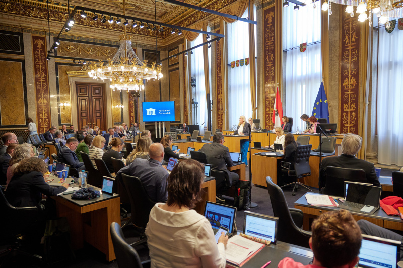 Am Redner:innenpult: Bundesrätin Claudia Arpa (SPÖ)