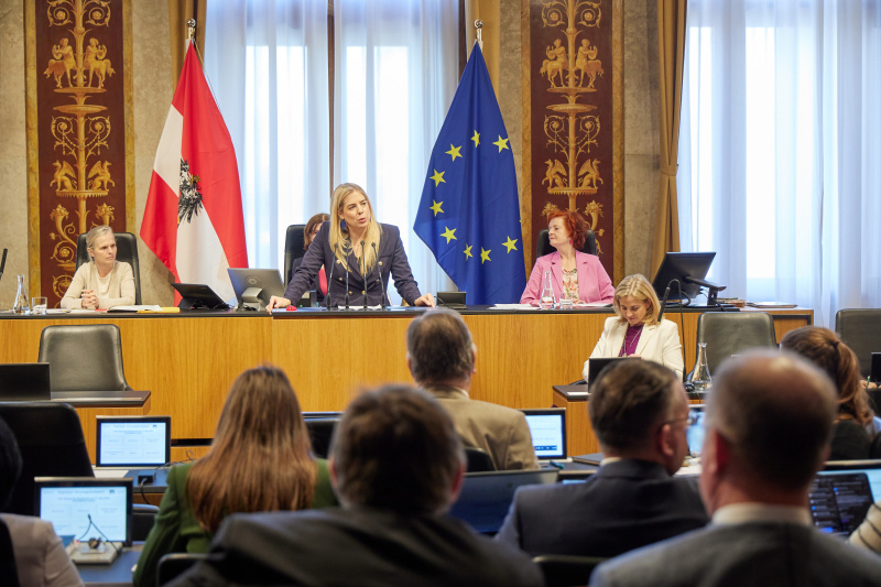 Am Redner:innenpult: Bundesrätin Isabella Theuermann (FPÖ)