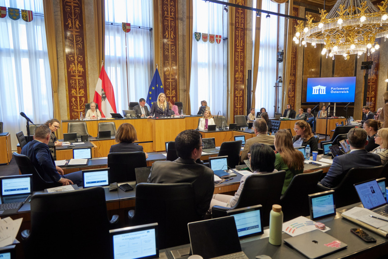 Am Redner:innenpult: Bundesrätin Isabella Theuermann (FPÖ)