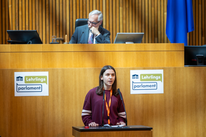 Nationalratssitzung mit Veranstaltungsteilnehmer:innen