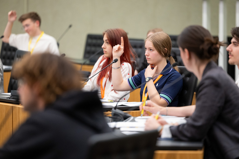 Lehrlingsparlament:Ausschuss