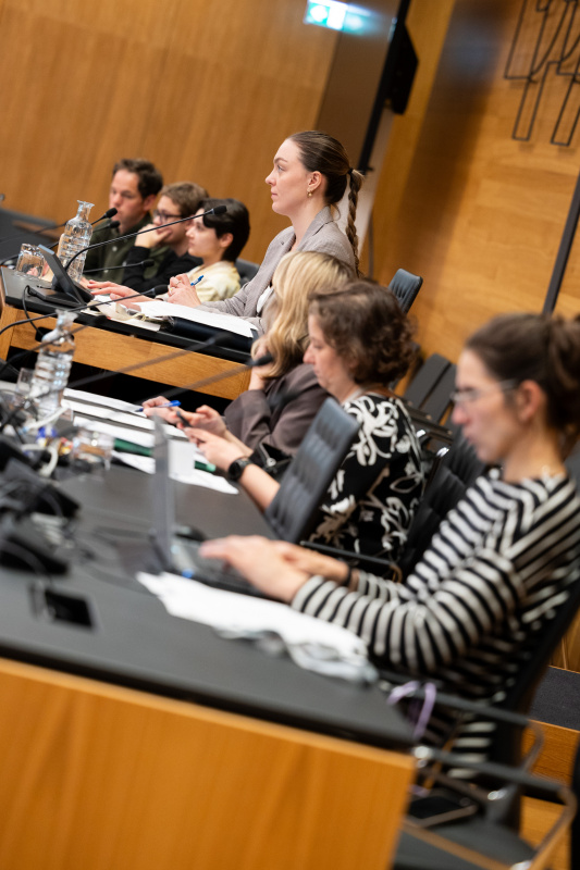 Ausschuss mit Veranstaltungteilnehmer:innen