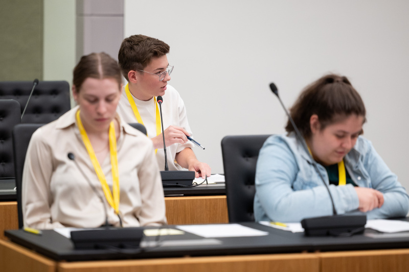 Lehrlingsparlament:Ausschuss