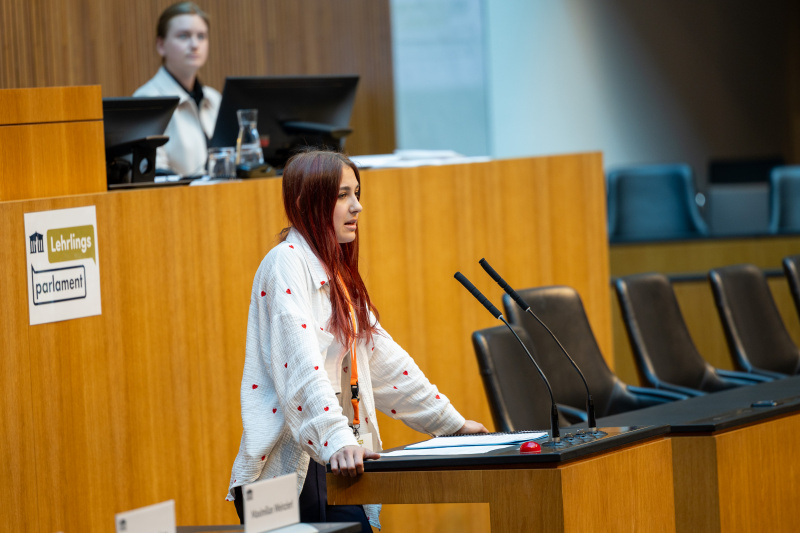 Nationalratssitzung mit Veranstaltungsteilnehmer:innen