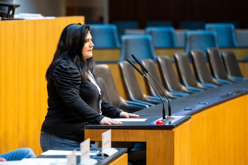 Nationalratssitzung mit Veranstaltungsteilnehmer:innen