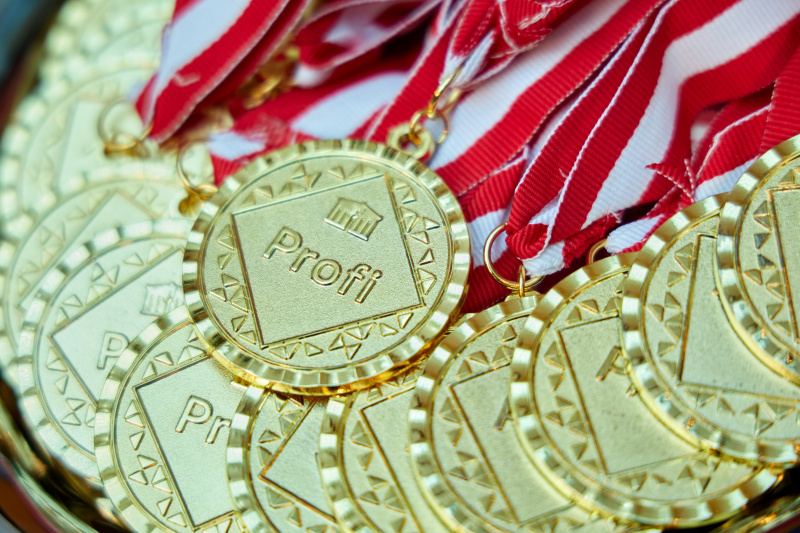 Medaillen für Demokratiewerkstatt Profis