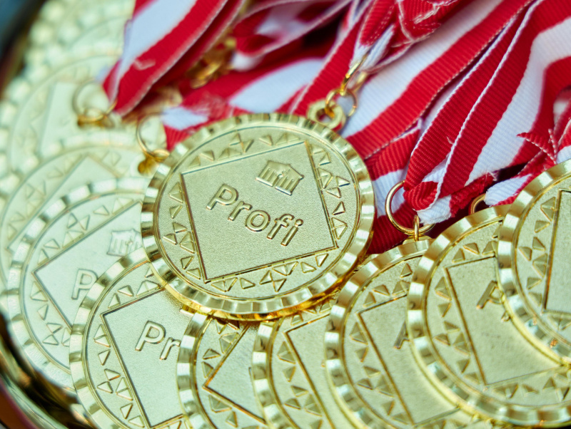 Medaillen für Demokratiewerkstatt Profis