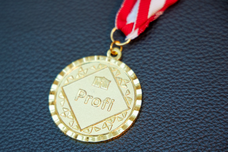 Demokratiewerkstatt Profi-Ehrung