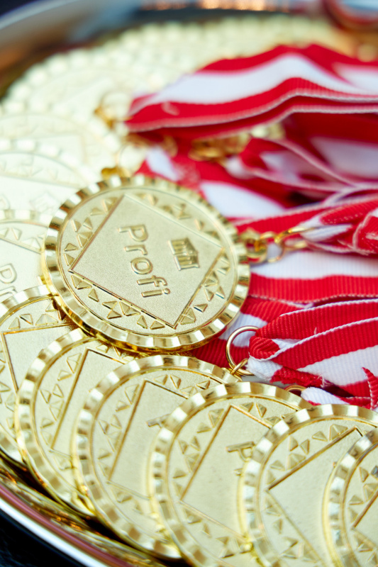 Demokratiewerkstatt Profi-Ehrung