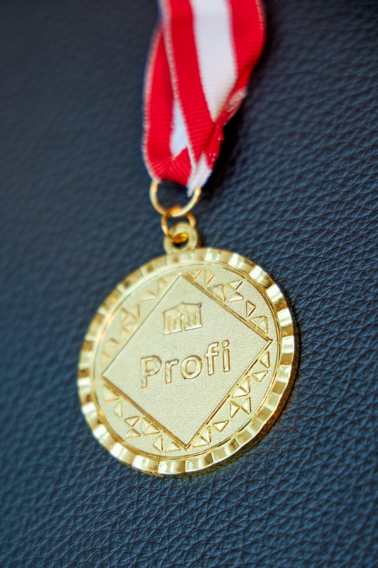 Demokratiewerkstatt Profi-Ehrung