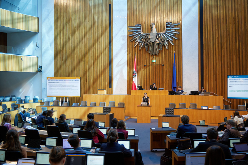 Delegierte am Redner:innenpult