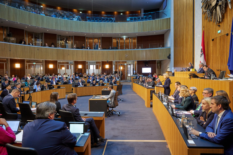 Regierungserklärung. Außenministerin Beate Meinl-Reisinger (NEOS)