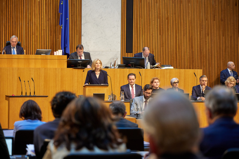 Regierungserklärung. Außenministerin Beate Meinl-Reisinger (NEOS)