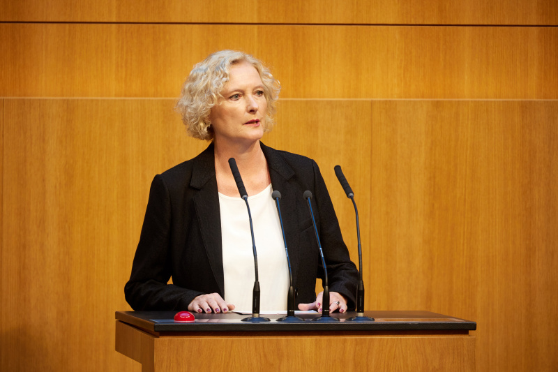 Am Redner:innenpult: Nationalratsabgeordnete Karin Greiner (SPÖ)