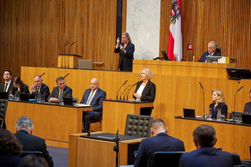 Am Redner:innenpult: Nationalratsabgeordnete Karin Greiner (SPÖ)