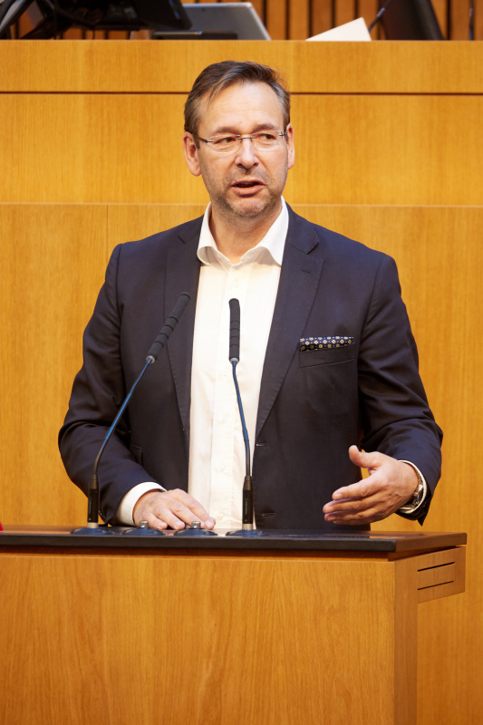 Eingangsstatements der Bereichssprecher:innen. Nationalratsabgeordneter Hermann Brückl (FPÖ)