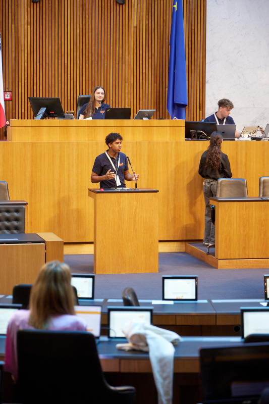 Delegierte am Redner:innenpult