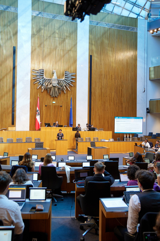 Delegierte am Redner:innenpult