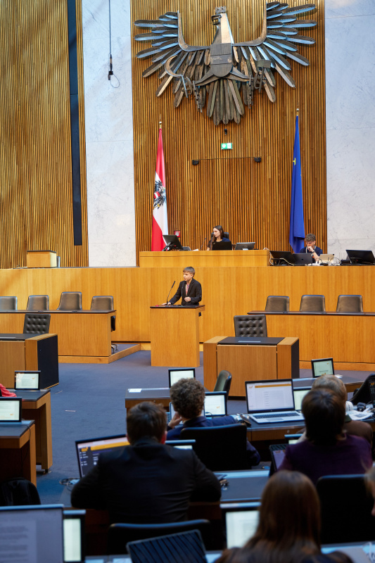 Delegierte am Redner:innenpult