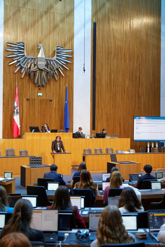 Delegierte am Redner:innenpult