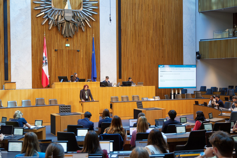 Delegierte am Redner:innenpult