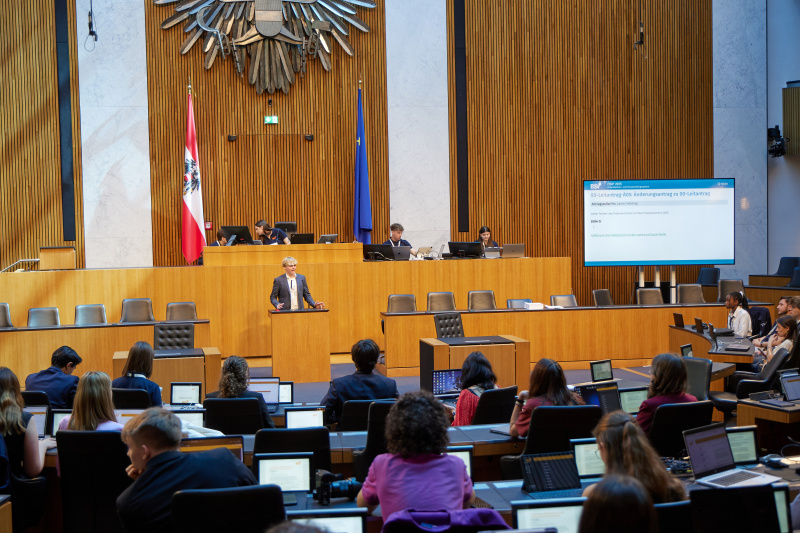 Delegierte am Redner:innenpult