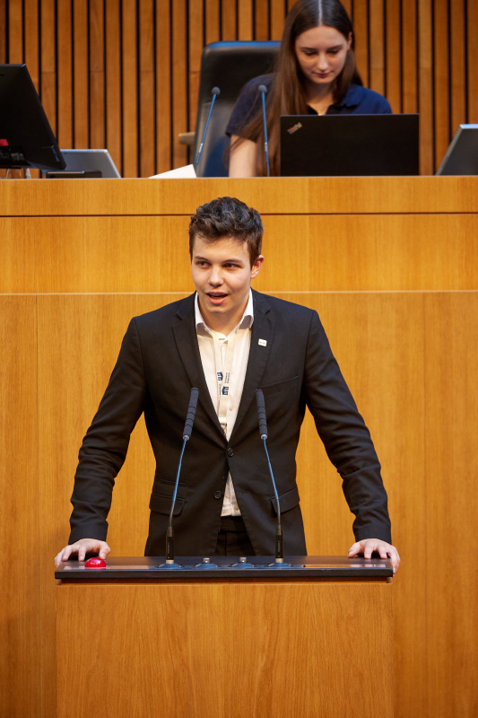 Delegierte am Redner:innenpult