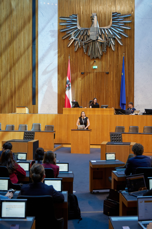 Delegierte am Redner:innenpult