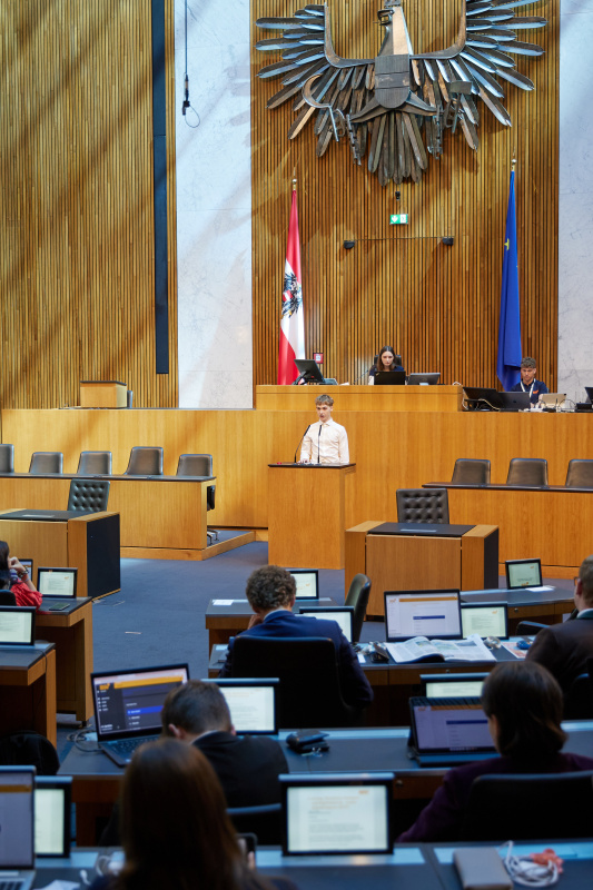 Delegierte am Redner:innenpult