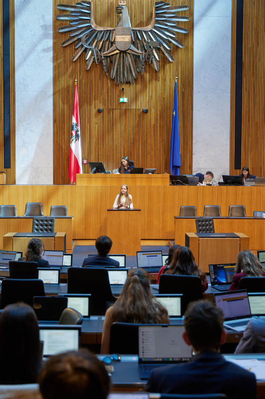 Delegierte am Redner:innenpult