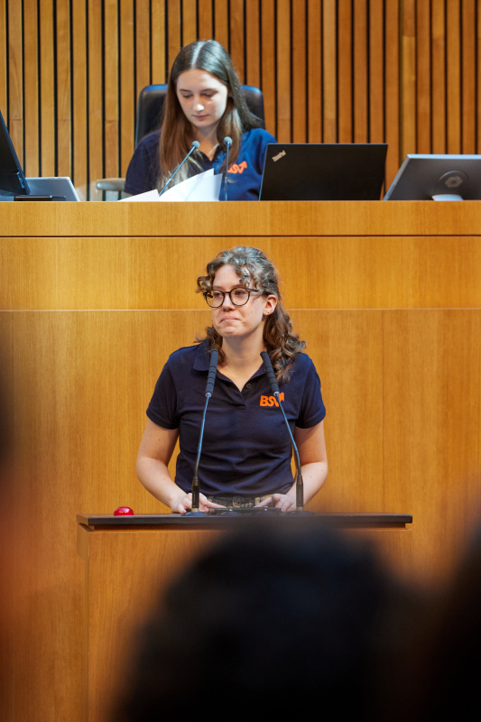 Delegierte am Redner:innenpult