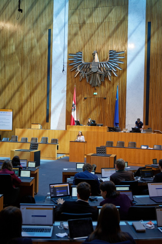 Delegierte am Redner:innenpult