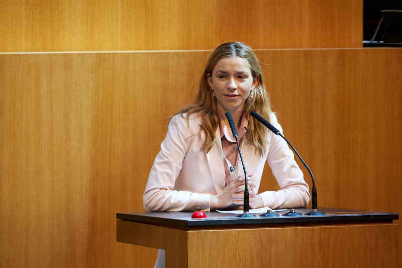 Delegierte am Redner:innenpult