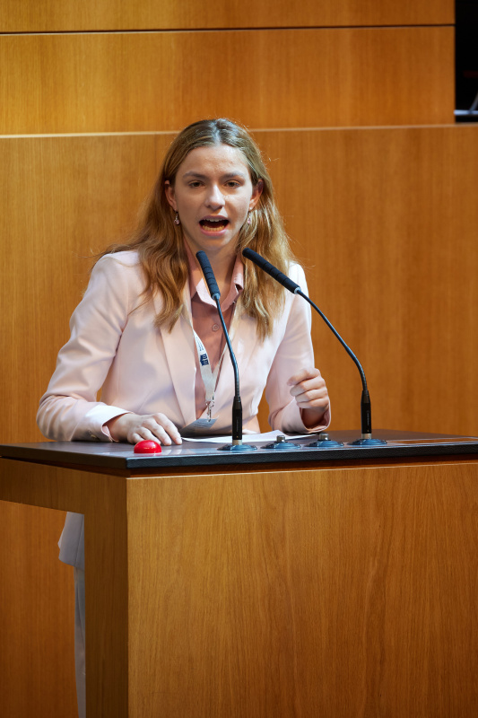 Delegierte am Redner:innenpult