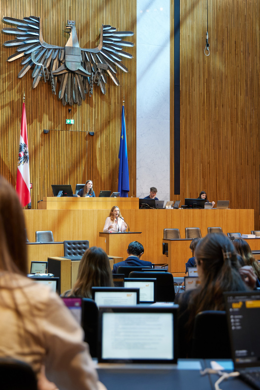 Delegierte am Redner:innenpult