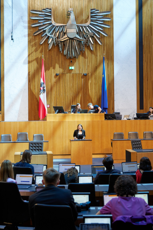 Delegierte am Redner:innenpult