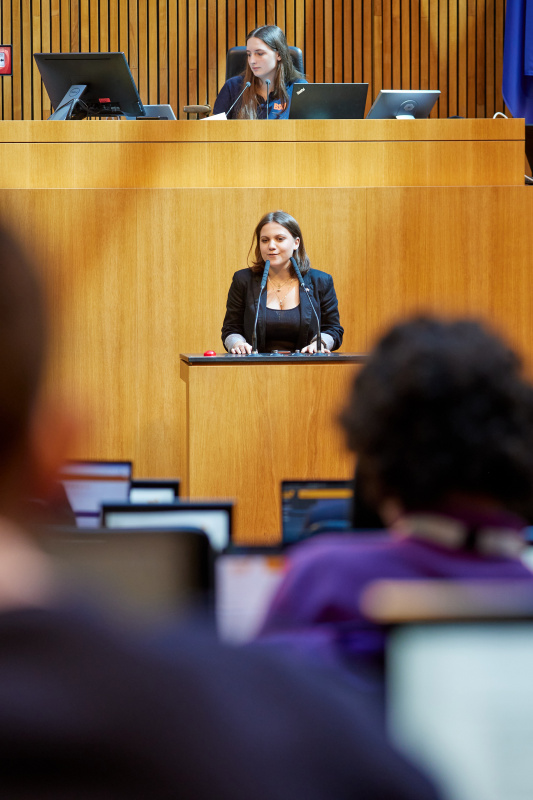 Delegierte am Redner:innenpult