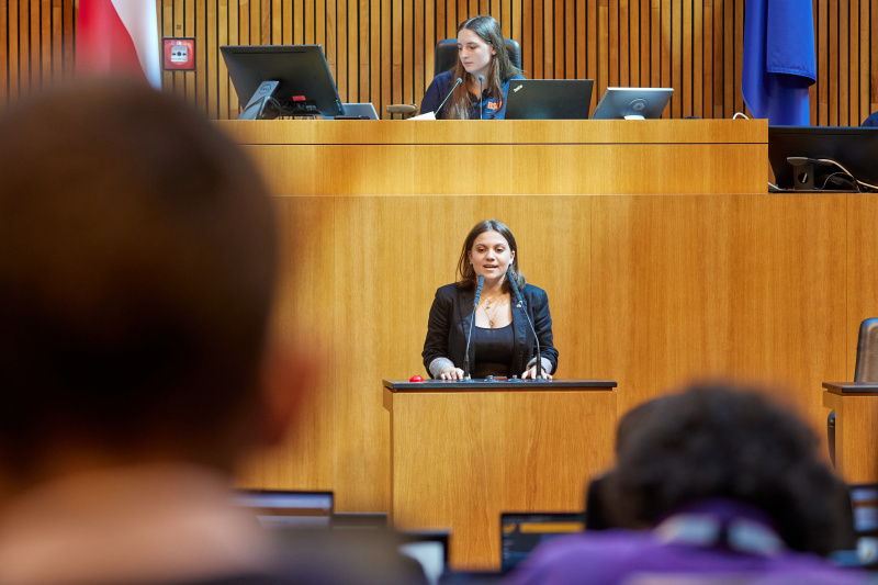 Delegierte am Redner:innenpult