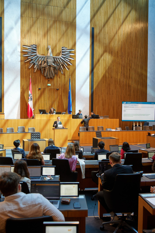 Delegierte am Redner:innenpult