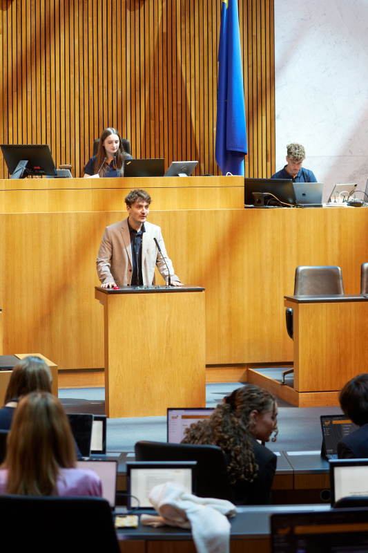 Delegierte am Redner:innenpult