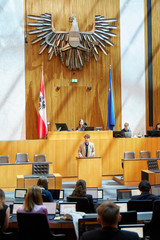 Delegierte am Redner:innenpult